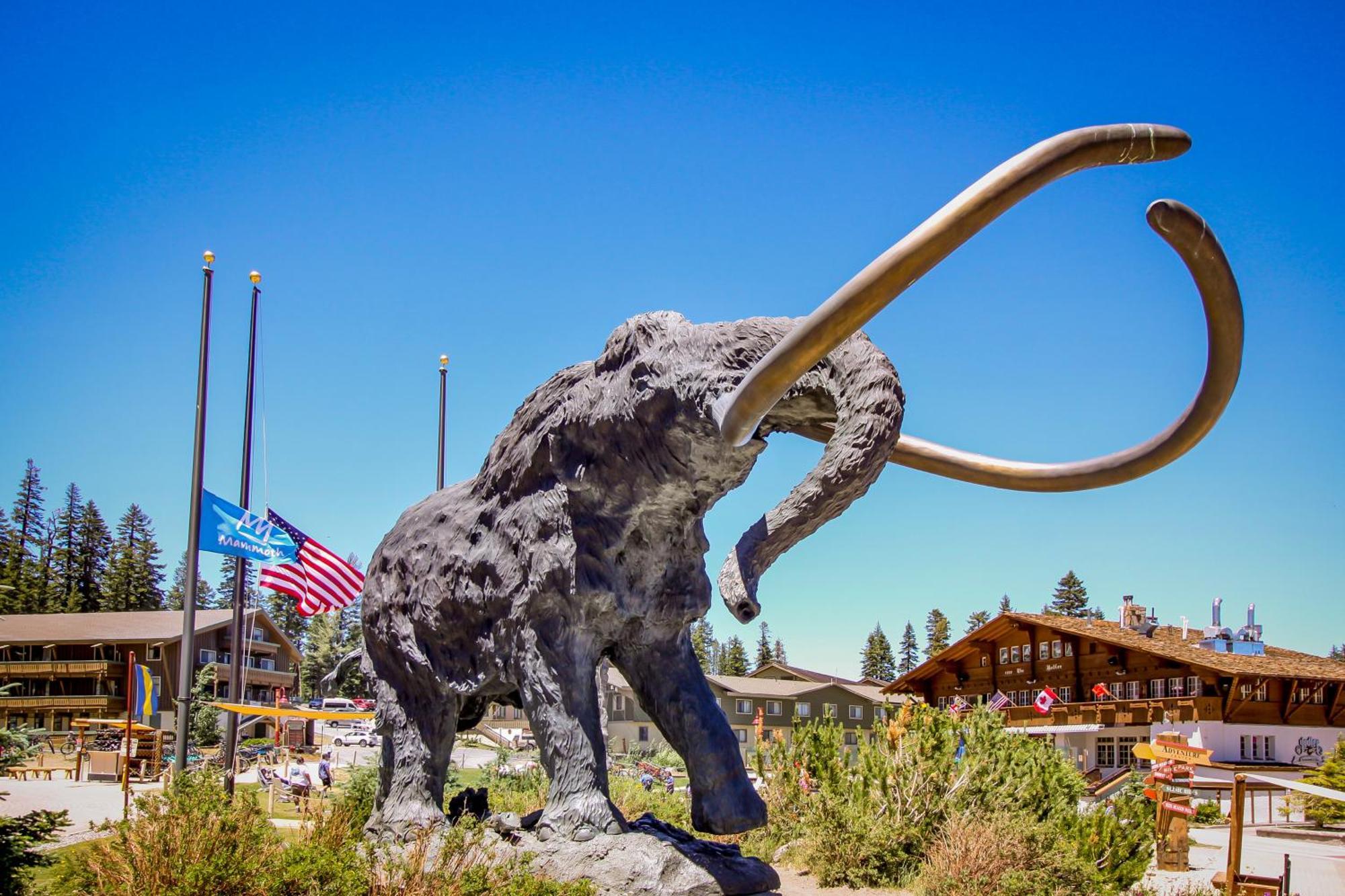 Vila Sierra Manor Escape Mammoth Lakes Pokoj fotografie